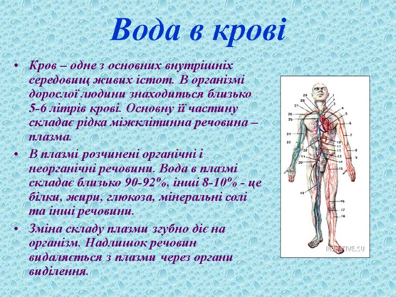 Вода в крові Кров – одне з основних внутрішніх середовищ живих істот. В організмі